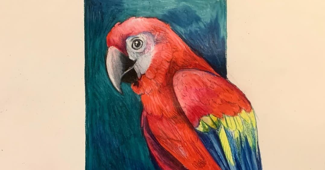 Art Class - I Can Draw Animals!