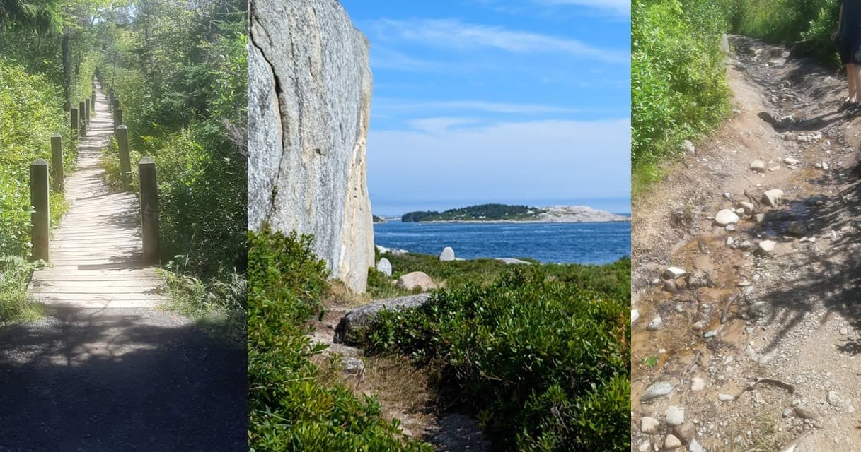 Science & Nature Class - Explore Nova Scotia