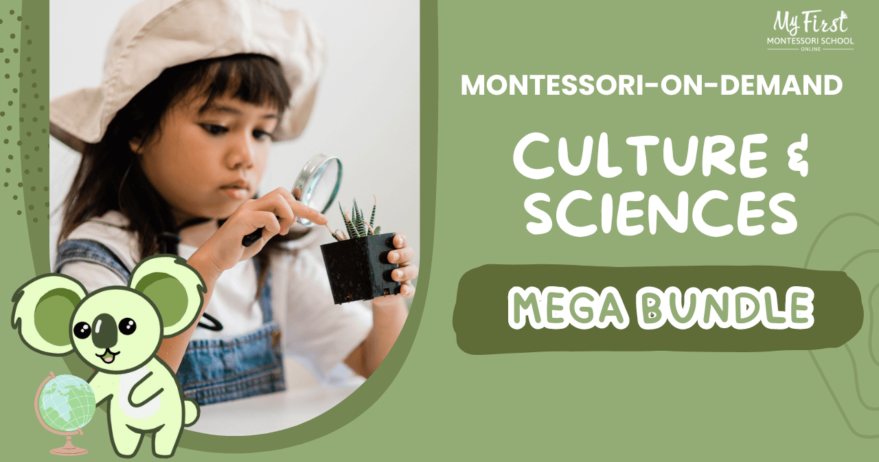 Science & Nature Class - Montessori DIY