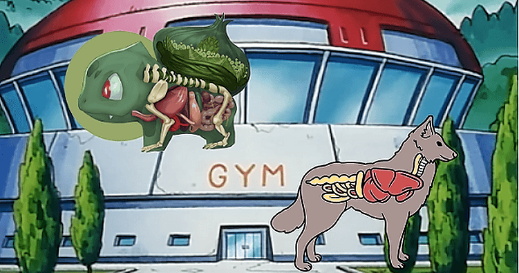 Science & Nature Class - Pokémon Vet Sci