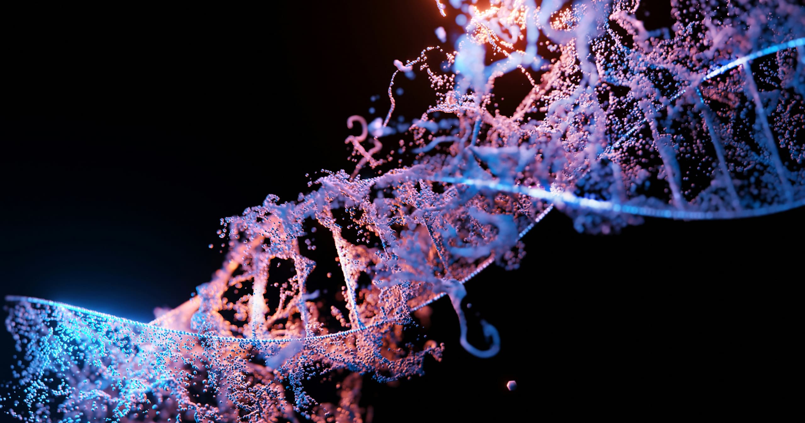 Science & Nature Class - Mutations Lab