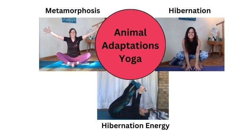 Health & Wellness Class - AnimalYoga