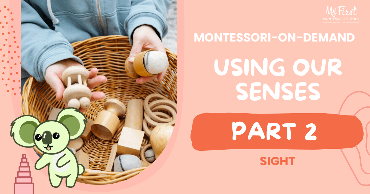 Early Education Class - Montessori Fun