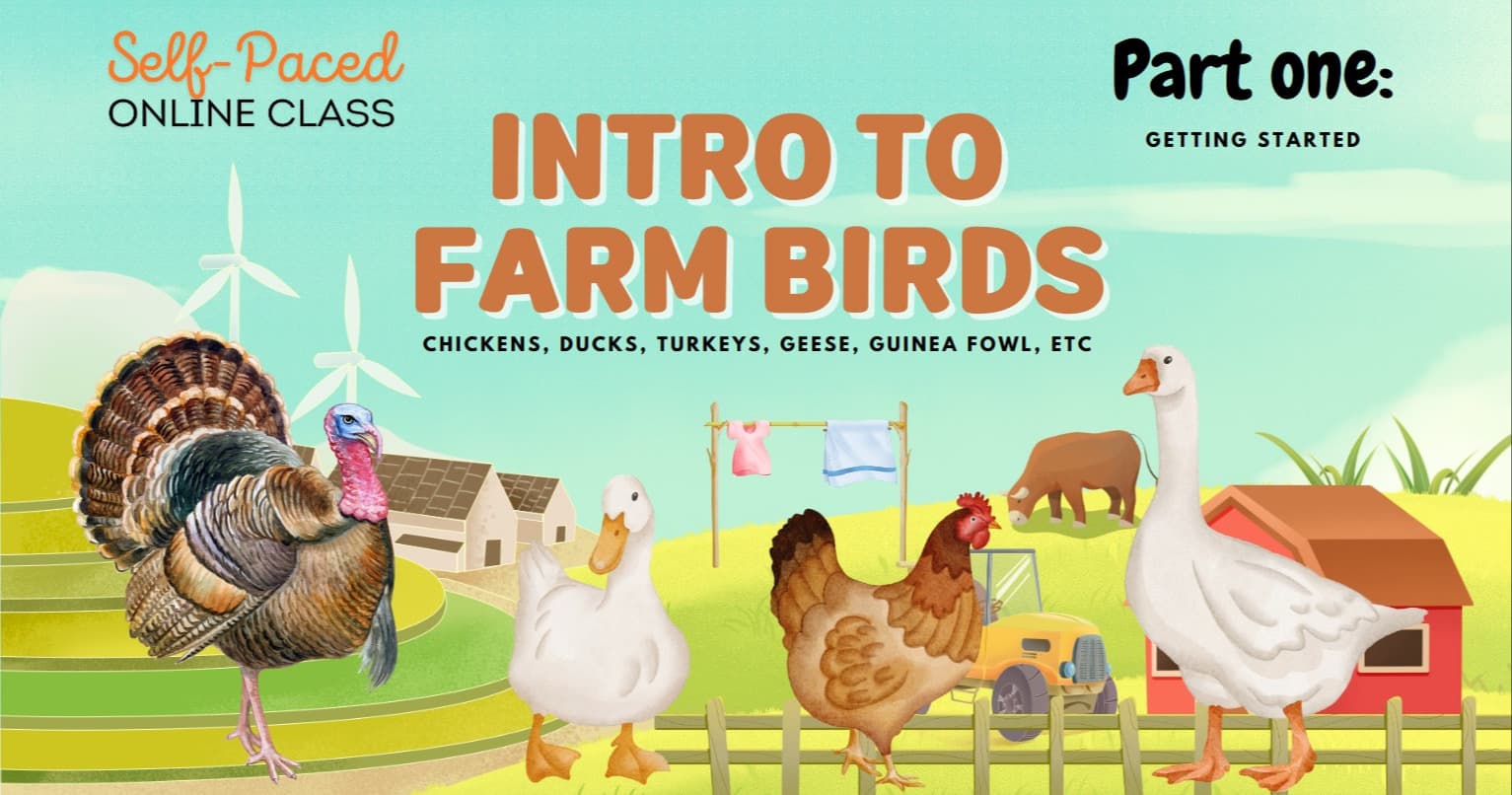 Science & Nature Class - Farm Birds 101