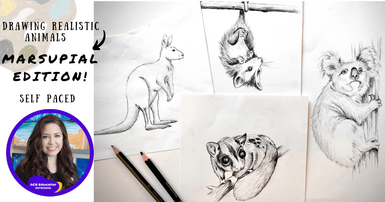 Art Class - Realistic Marsupial Drawing