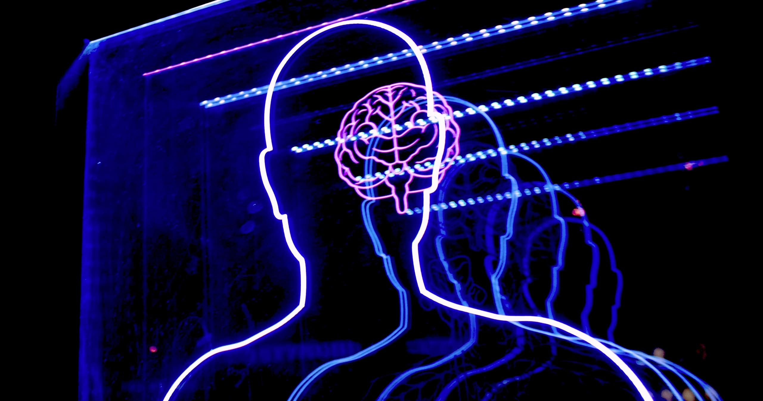 Science & Nature Class - Intro to Brain