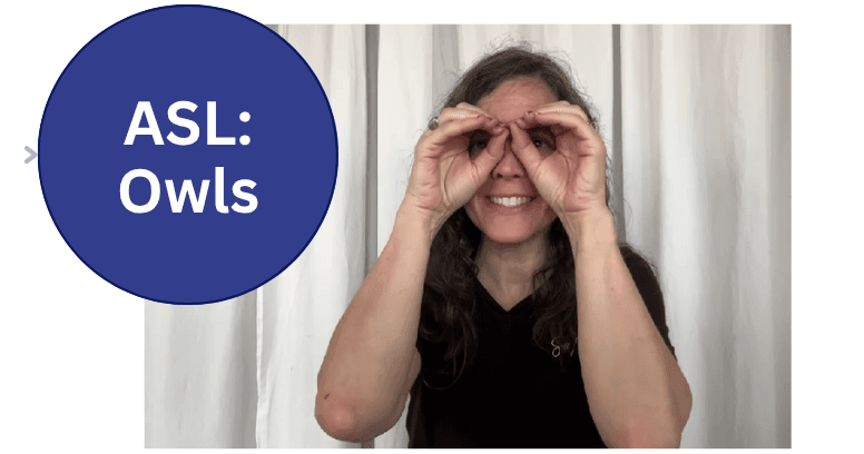 World Languages Class - ASL: Owl Signs