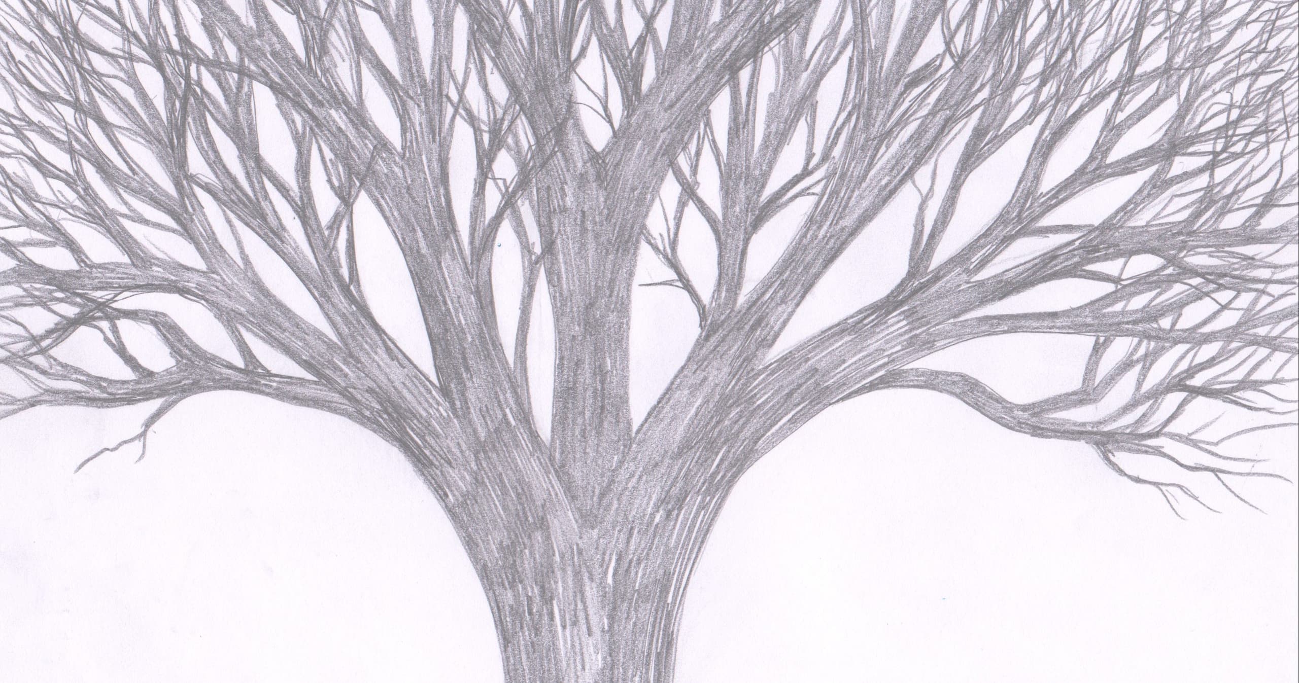 Art Class - Draw a Realistic Tree