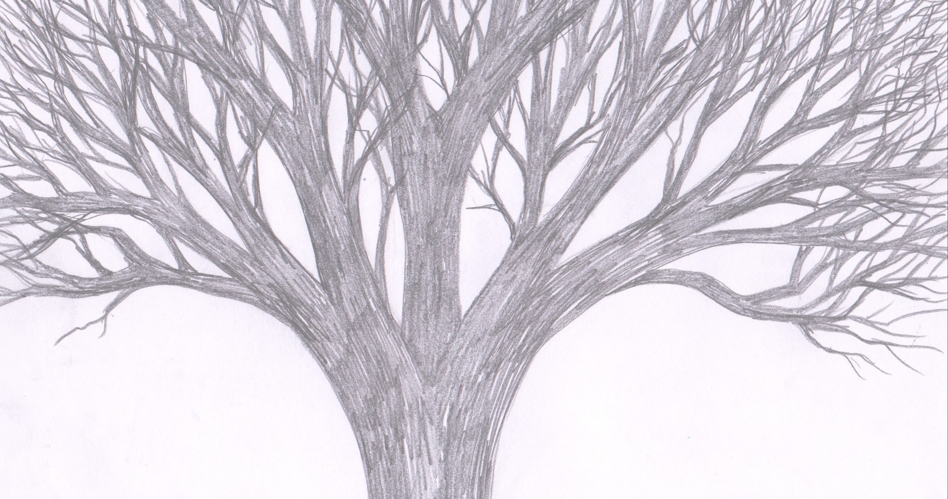 Art Class - Draw a Realistic Tree