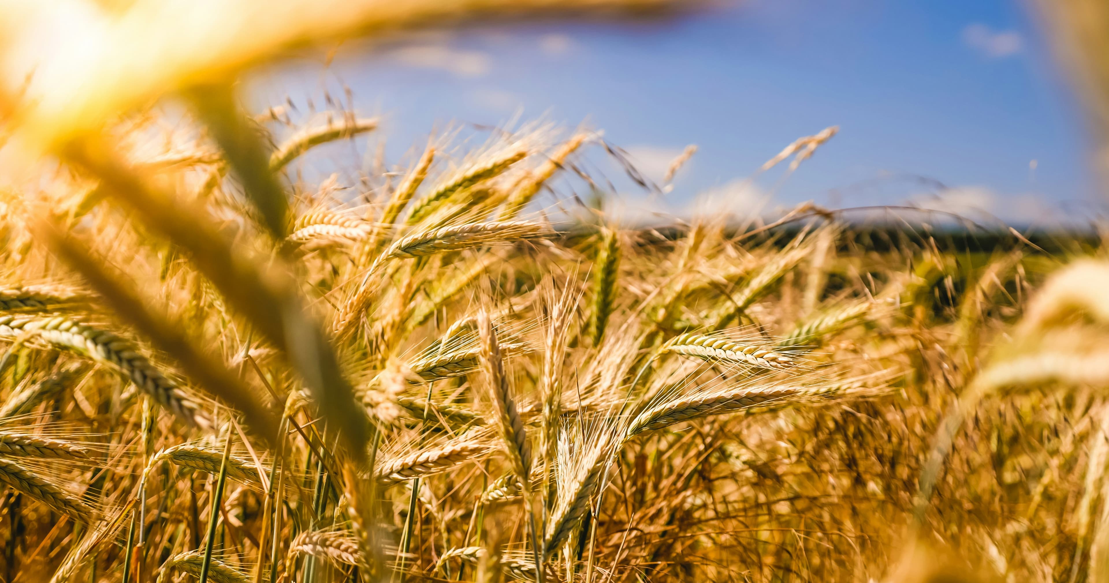 Science & Nature Class - Farm to Table