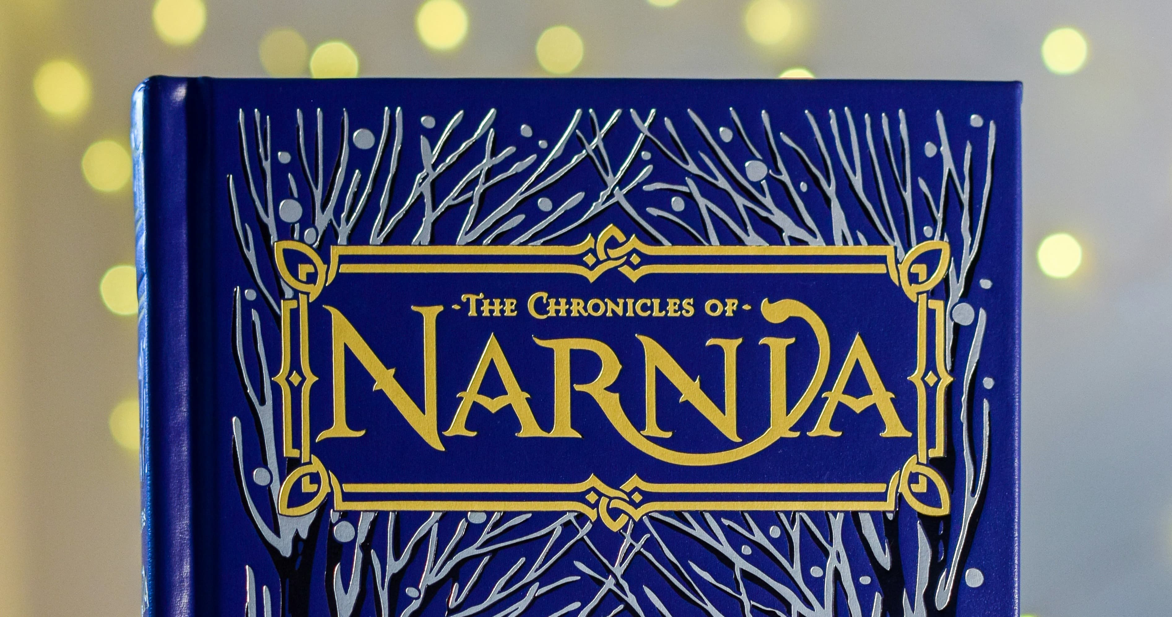 English Class - Narnia Novel Adventure