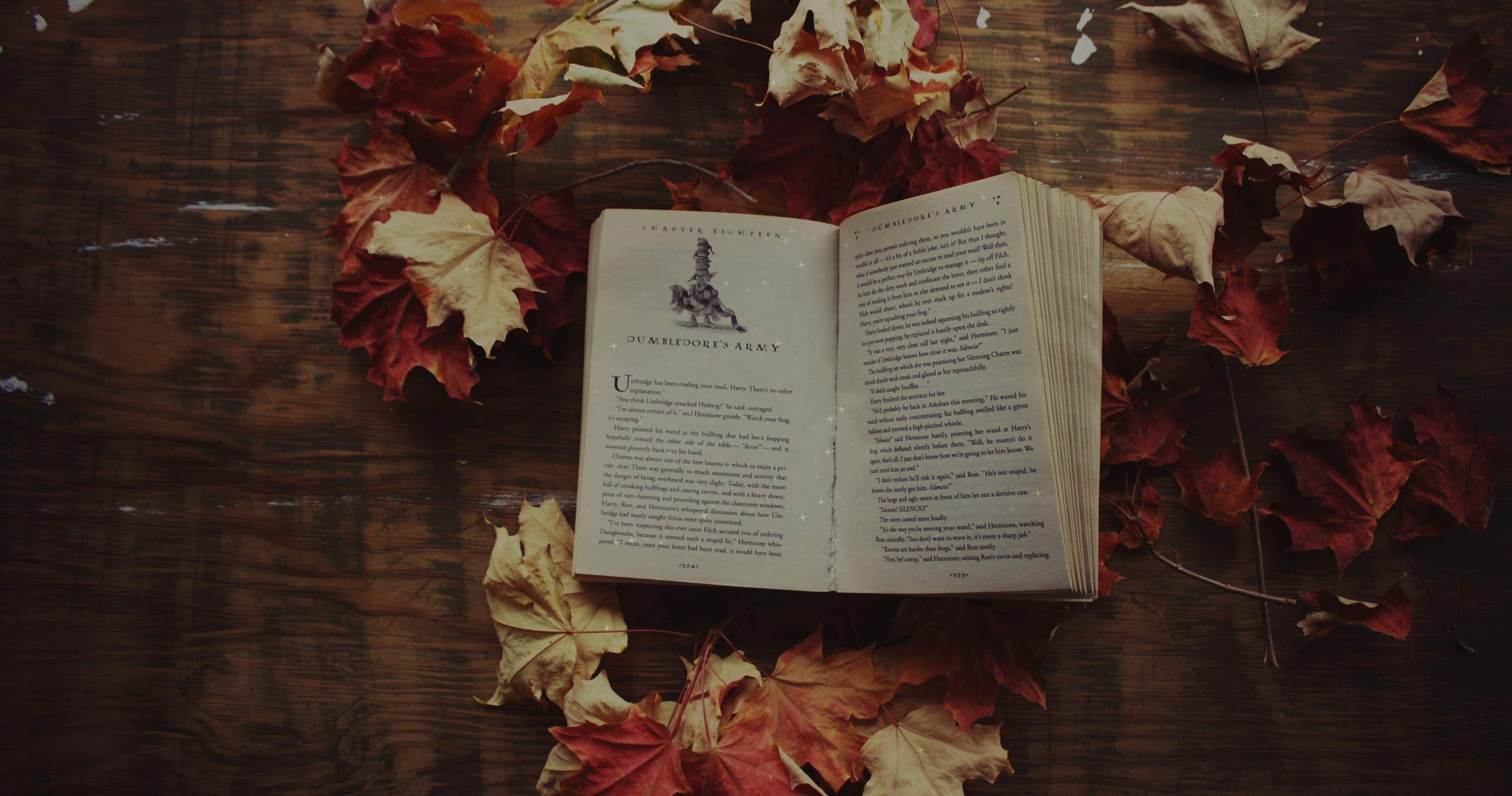 English Class - Novella Writing: Craft