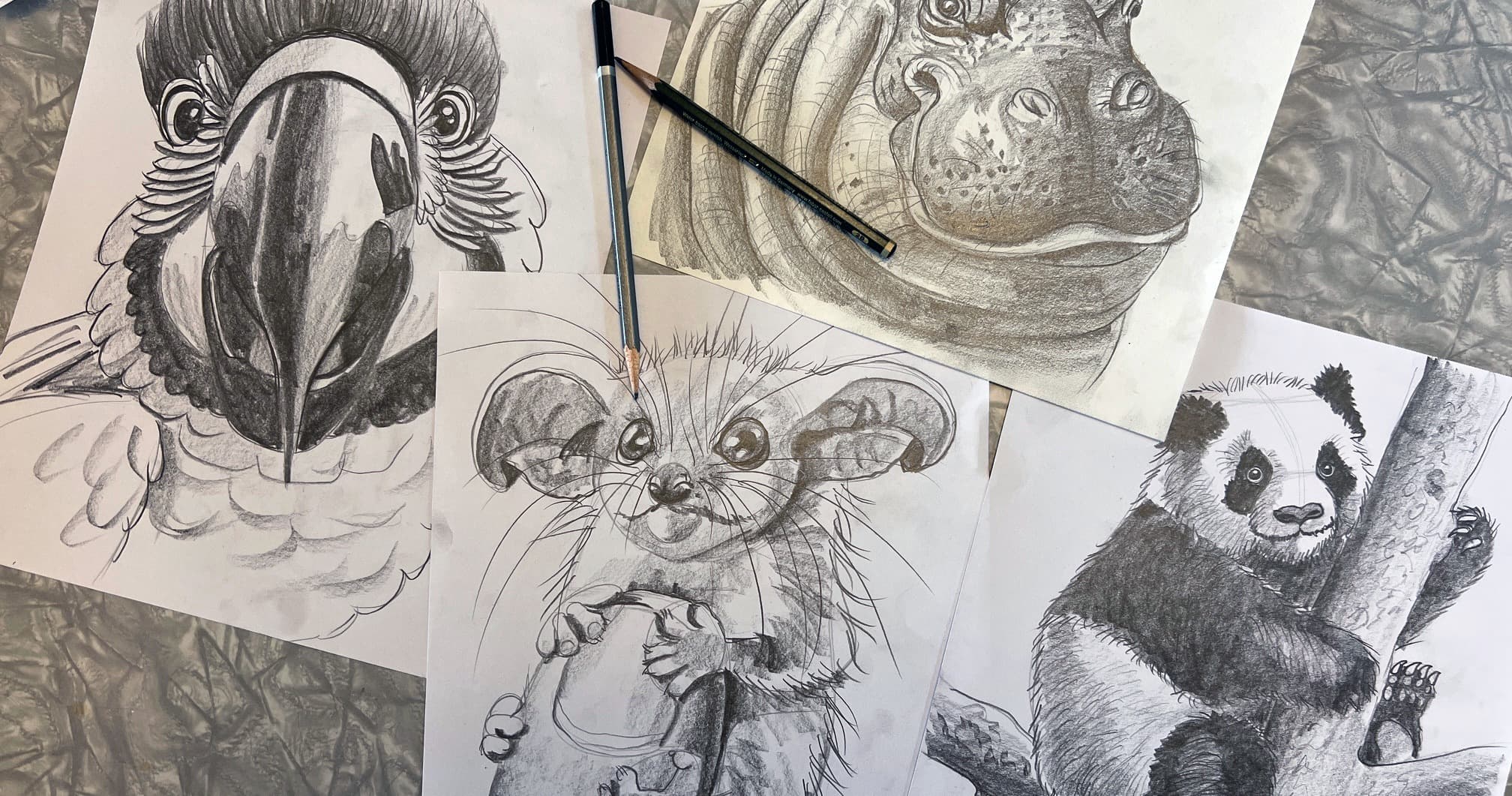 Art Class - Sketch Animals at Your Pace