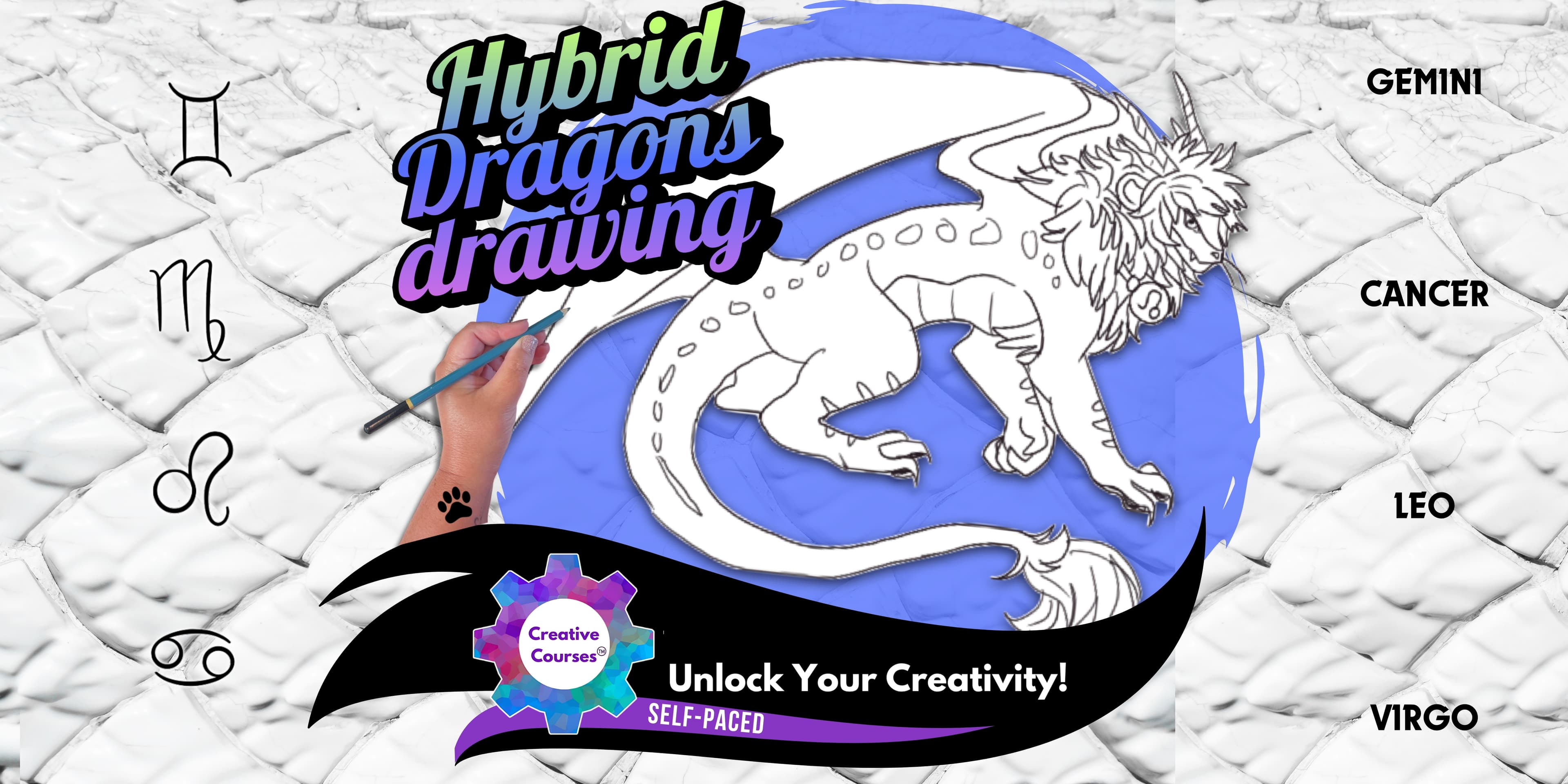 Art Class - Sketch Celestial Dragons