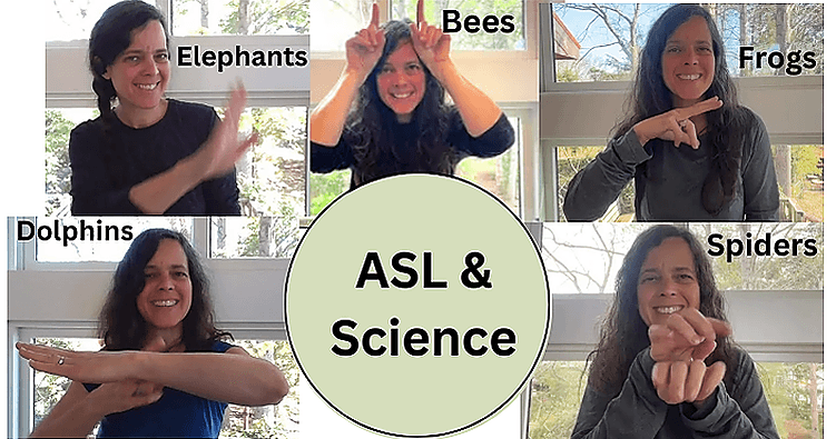 World Languages Class - ASL: Animals