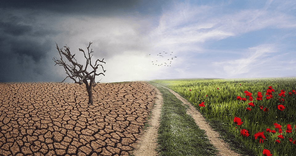 Science & Nature Class - Climate Change