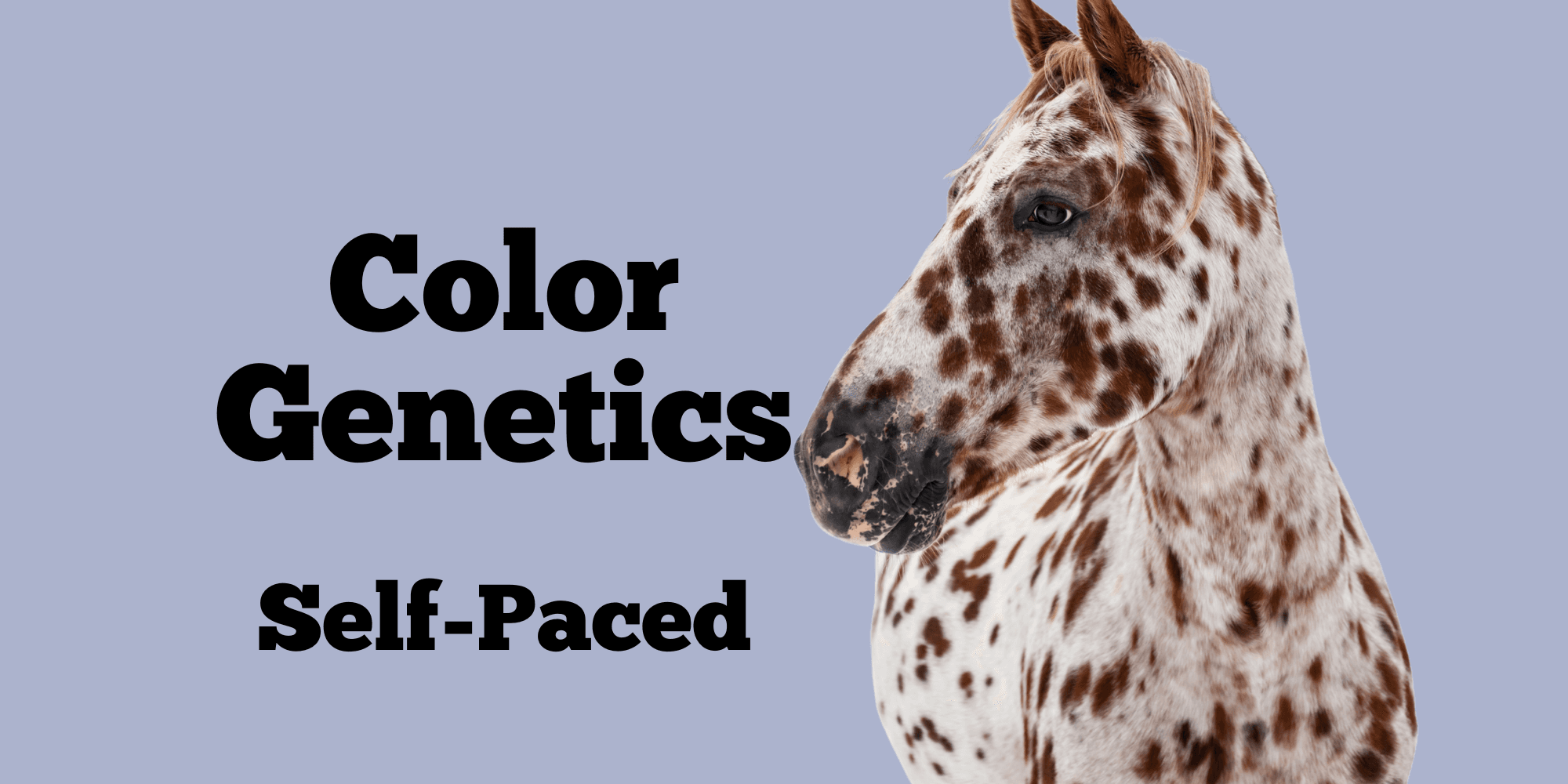 Science & Nature Class - Equine Color