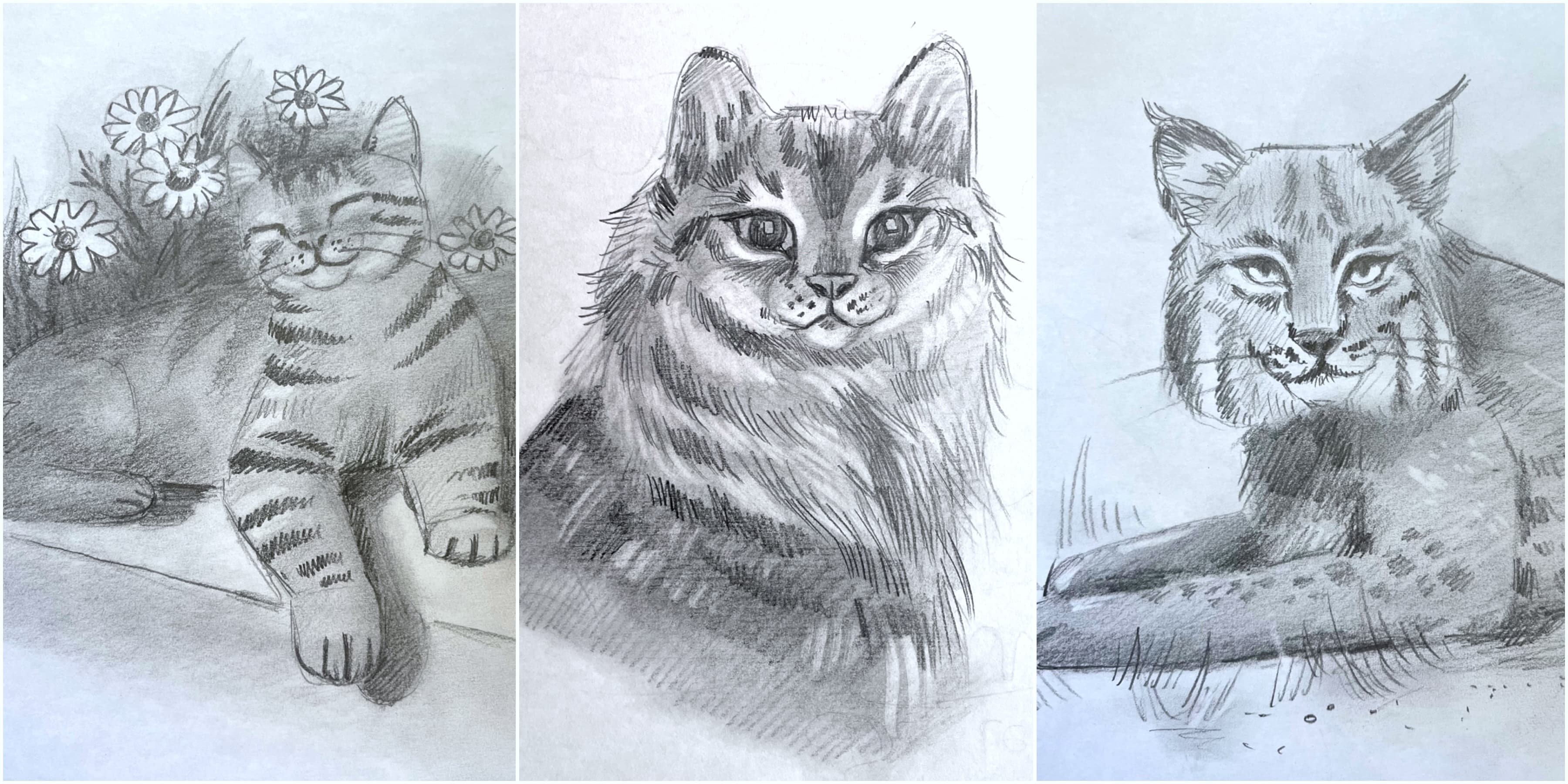 Art Class - Draw Cats in Any Style