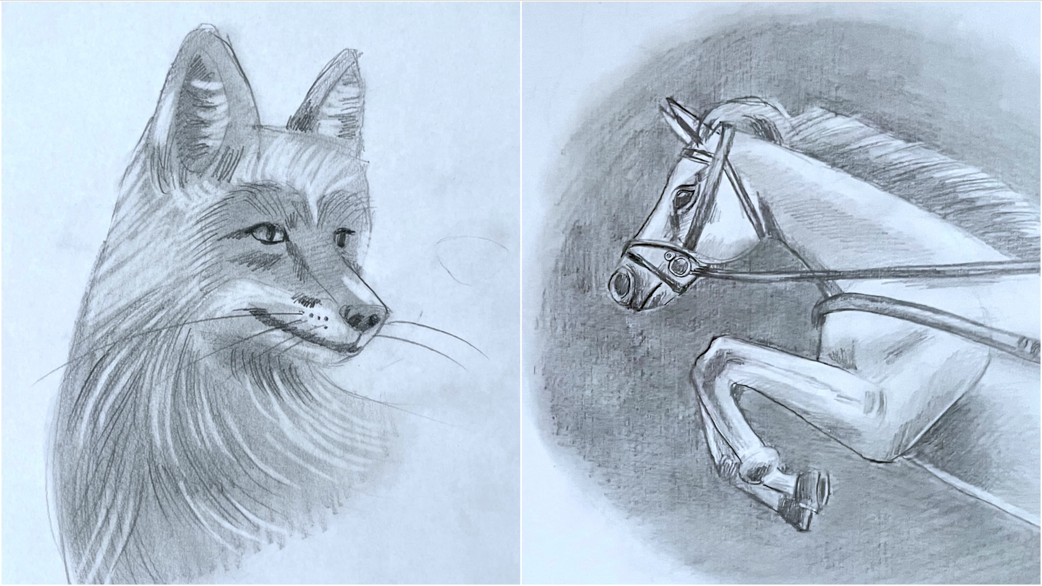 Art Class - Realistic Animal Drawing