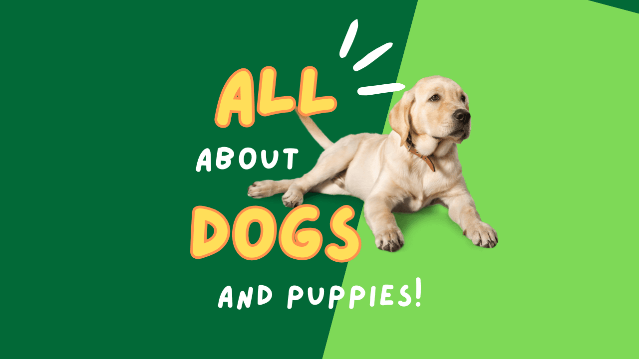 Science & Nature Class - Puppy & Dog 101