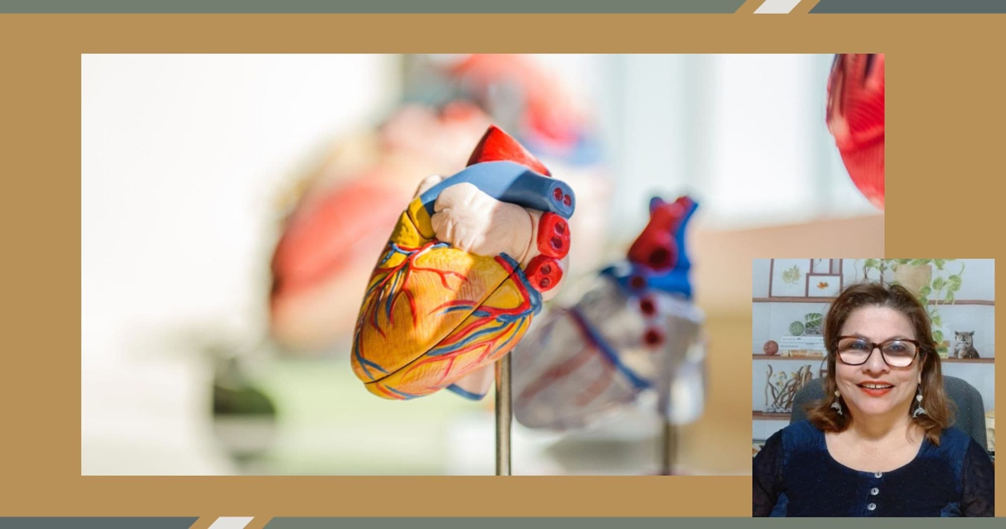Science & Nature Class - HS Anatomy Lab
