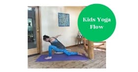 Health & Wellness Class - Energetic Yoga