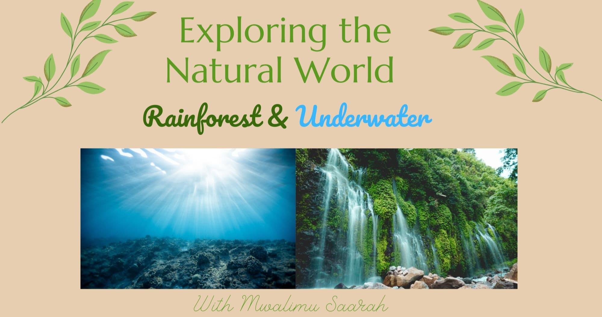 Science & Nature Class - Rainforest & Sea Adv