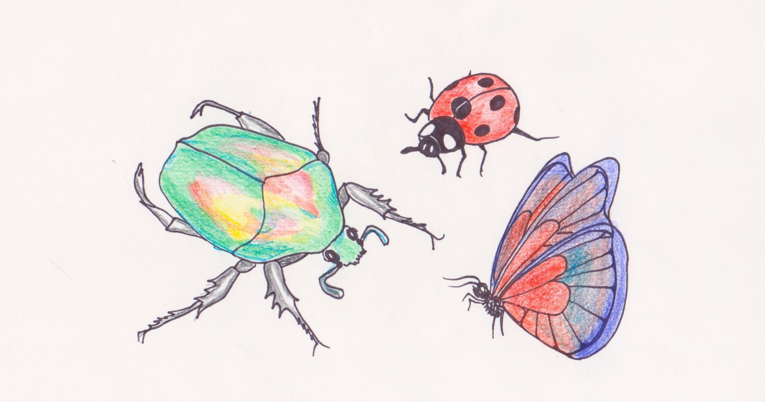 Art Class - Backyard Bugs: Insect Art