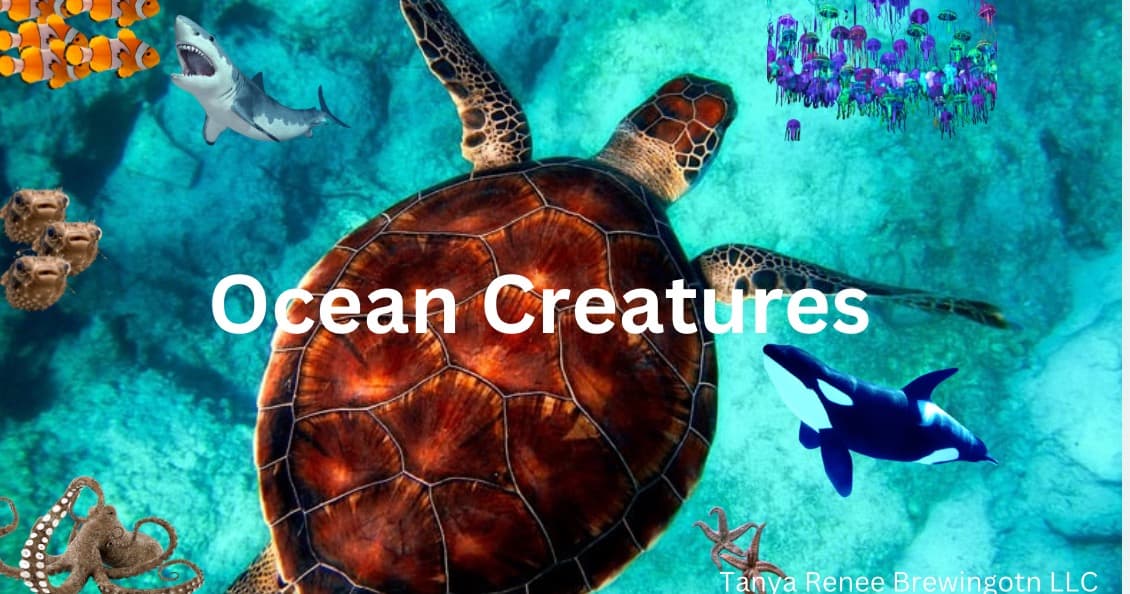 Science & Nature Class - Discover Ocean