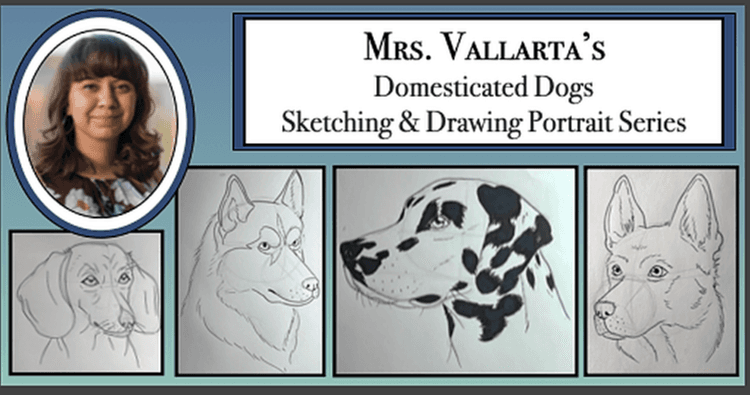 Art Class - Canine Portrait Drawing