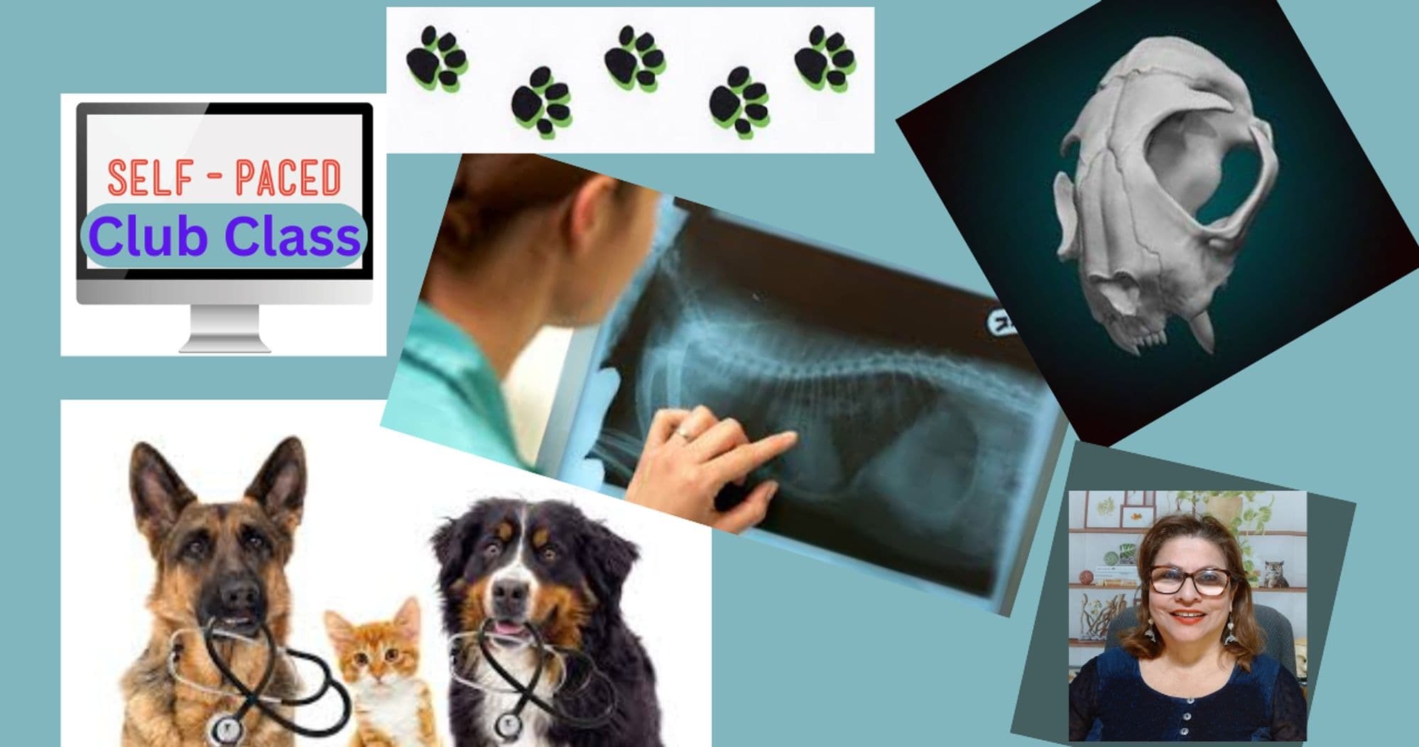 Science & Nature Class - Vet Science