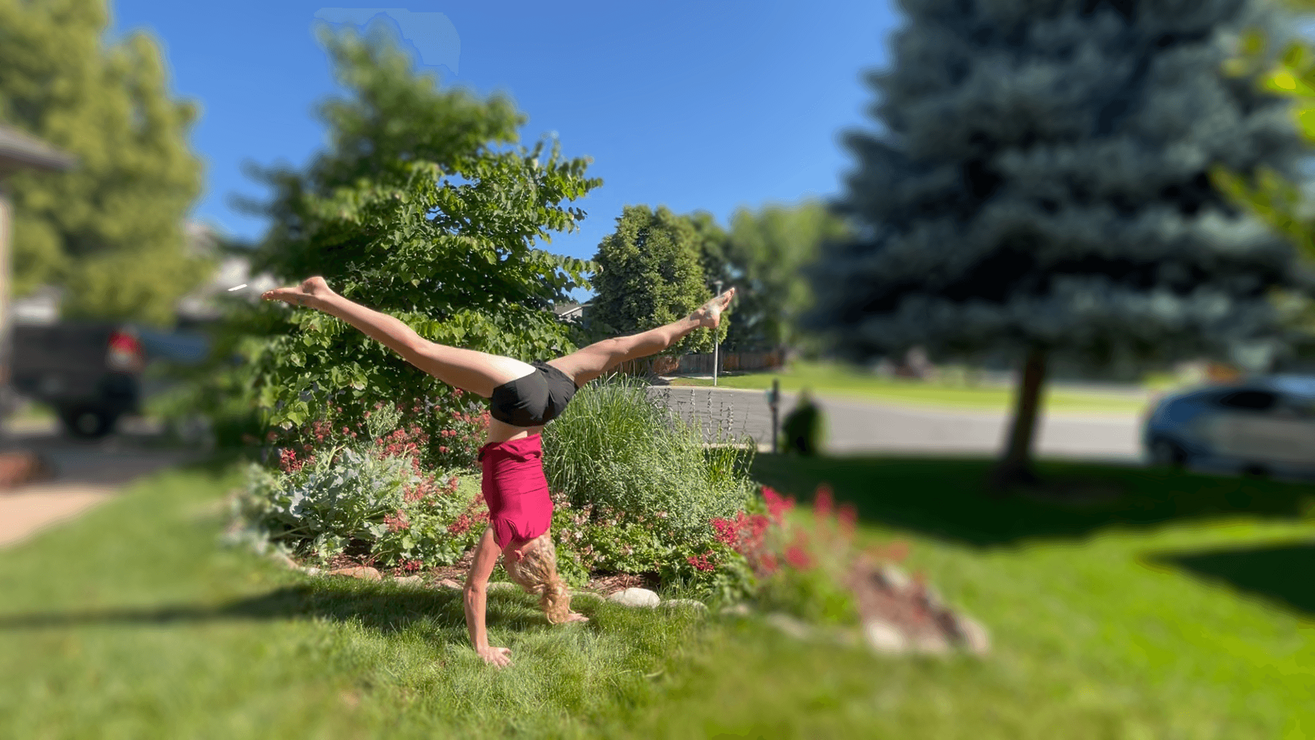 Health & Wellness Class - Intro Acrobat