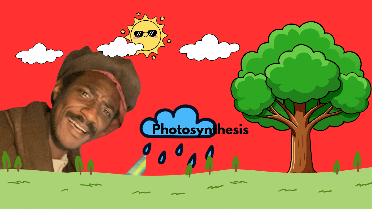 Science & Nature Class - Photosynthesis