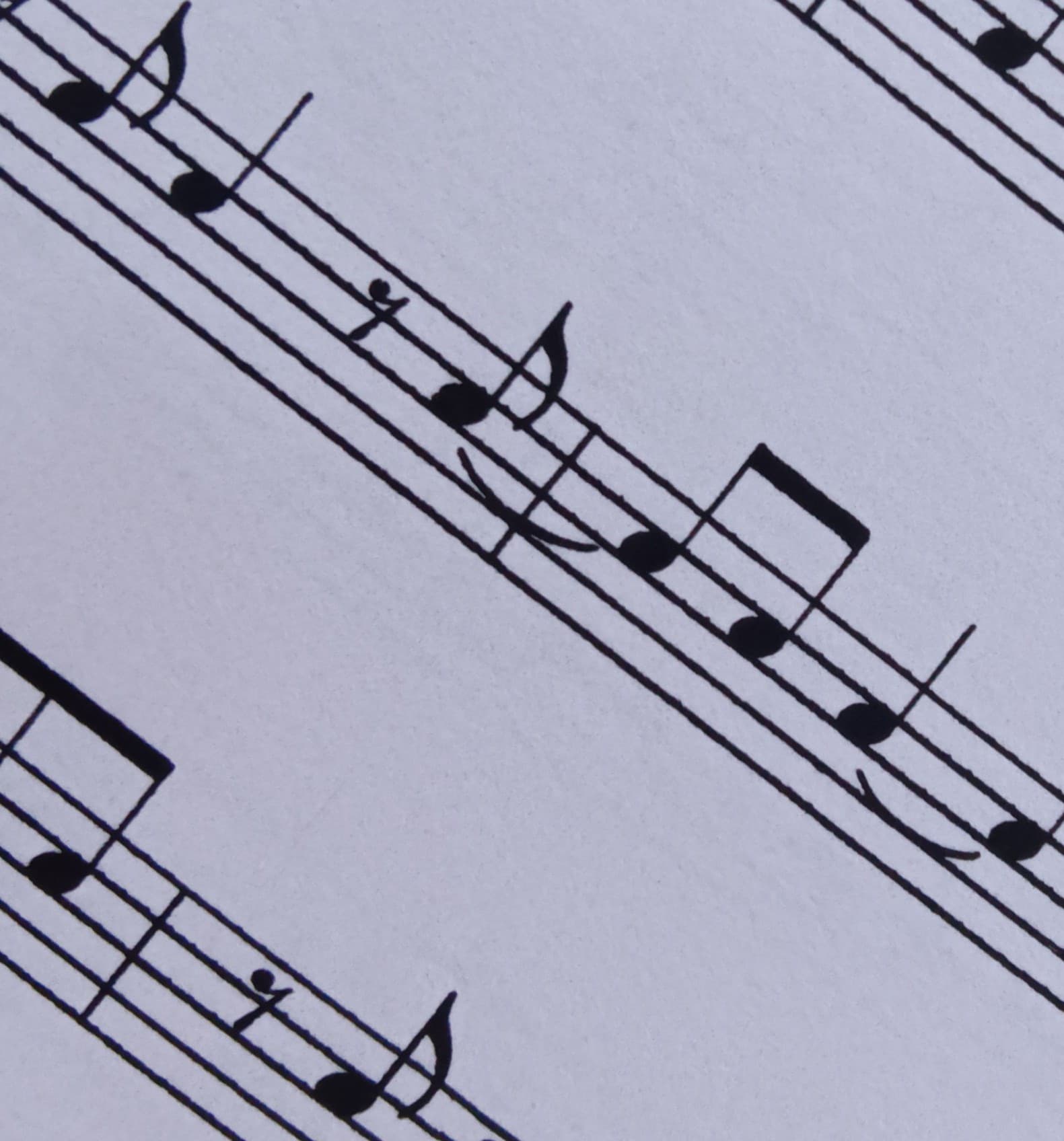 Music Class - Rhythmic Music Mastery
