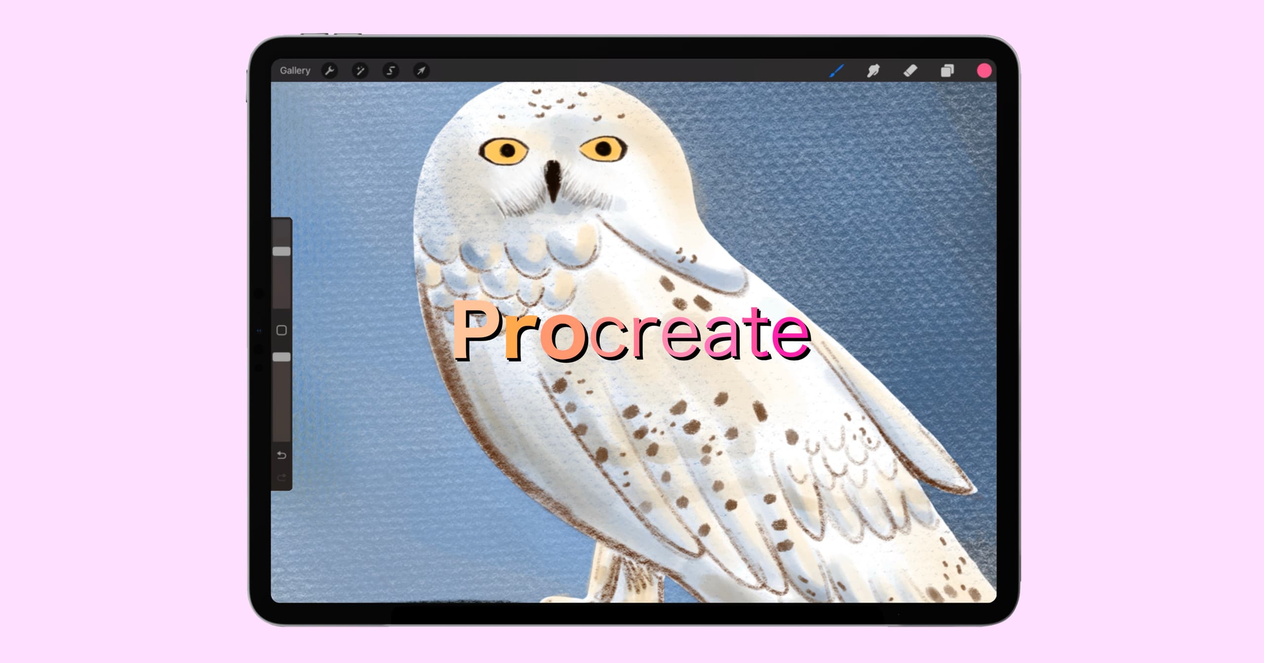 Art Class - Procreate: Snowy Owl Art