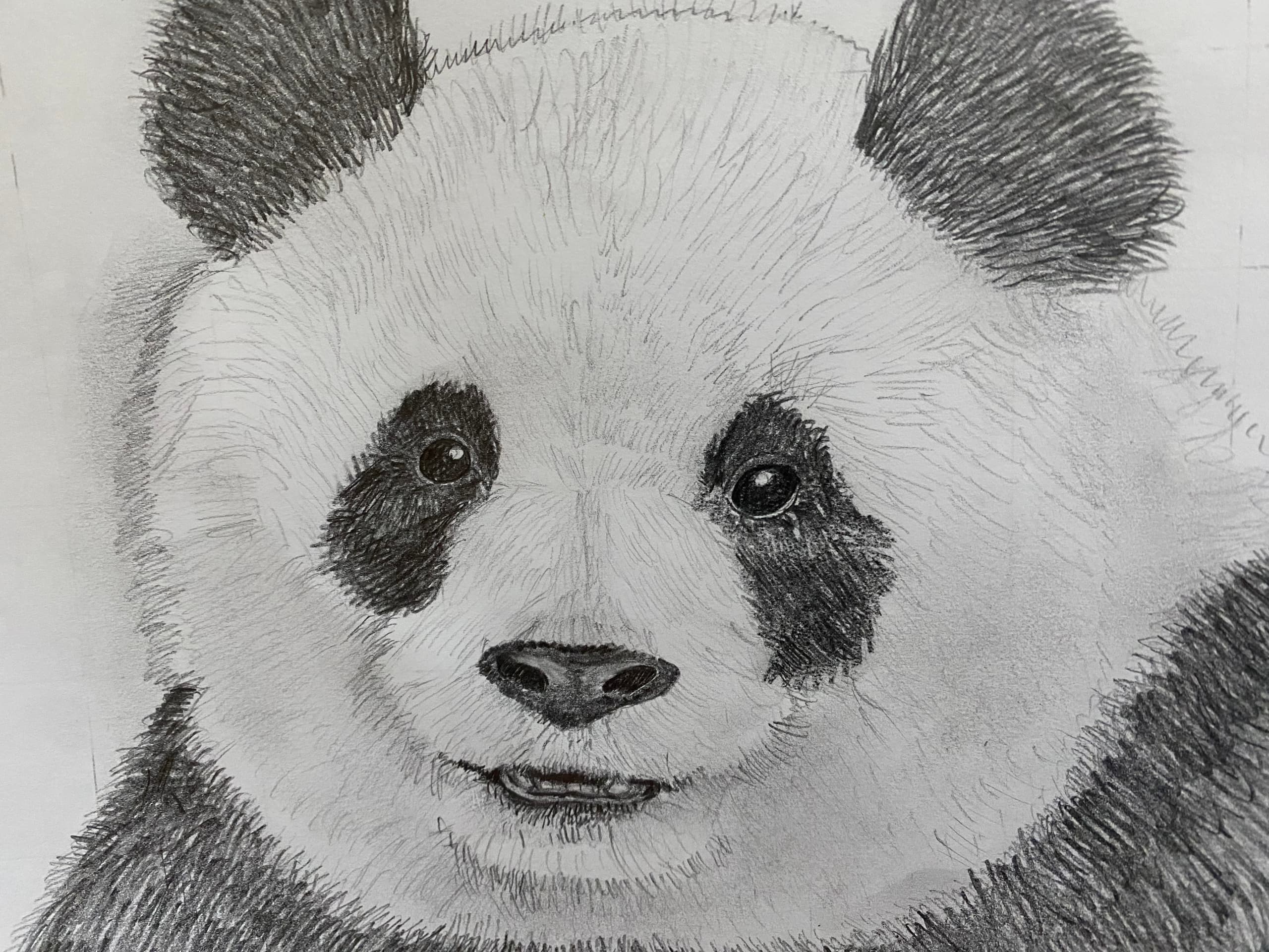 Art Class - Guided Drawing Projects