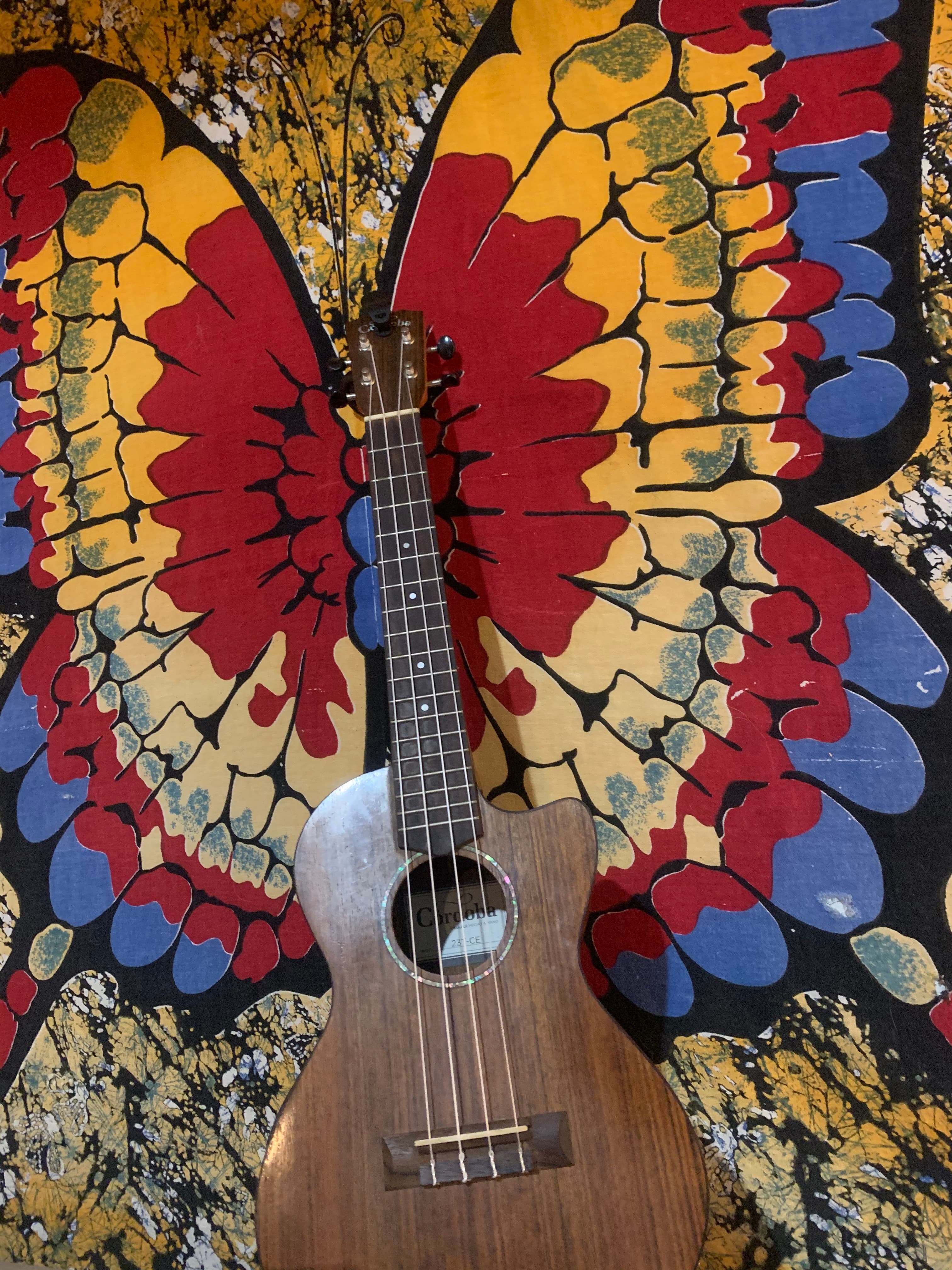 Music Class - Intro to Ukulele