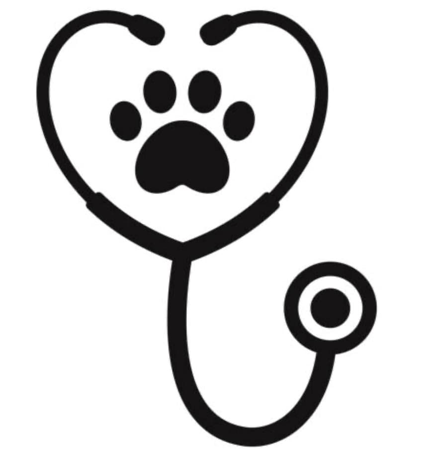 Science & Nature Class - Animal Careers