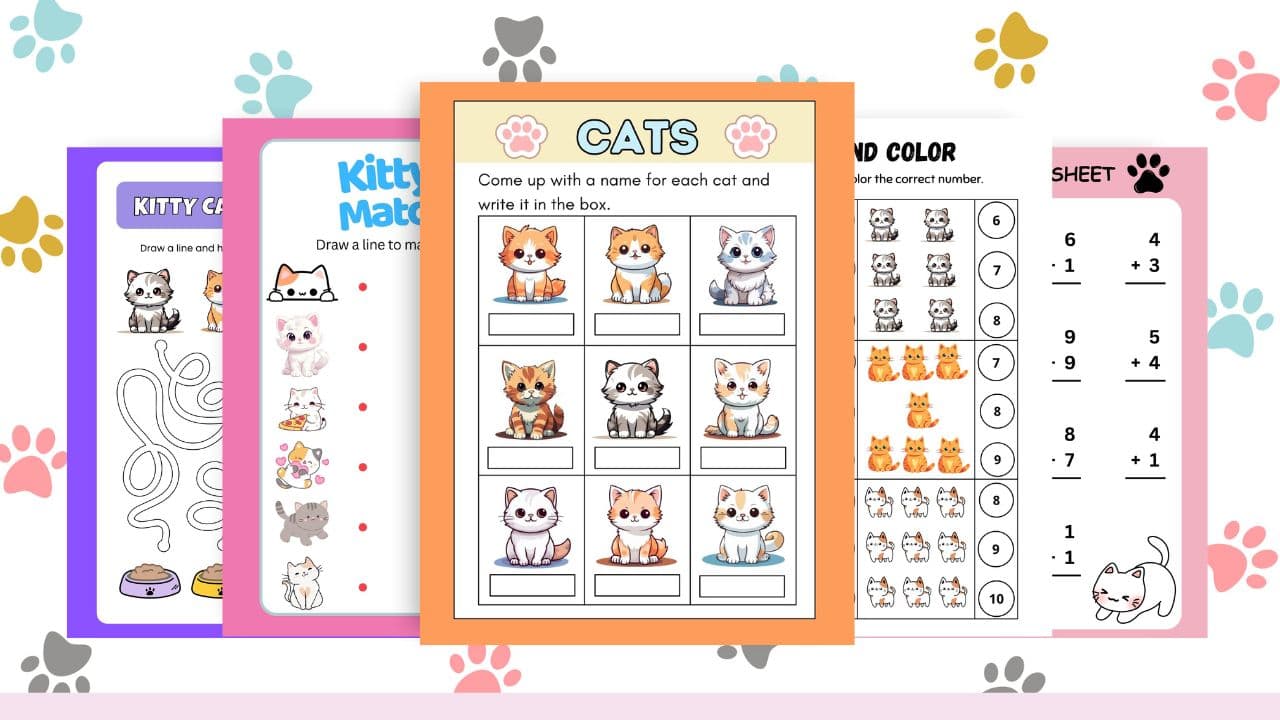 Early Education Class - Cat Themed Edu