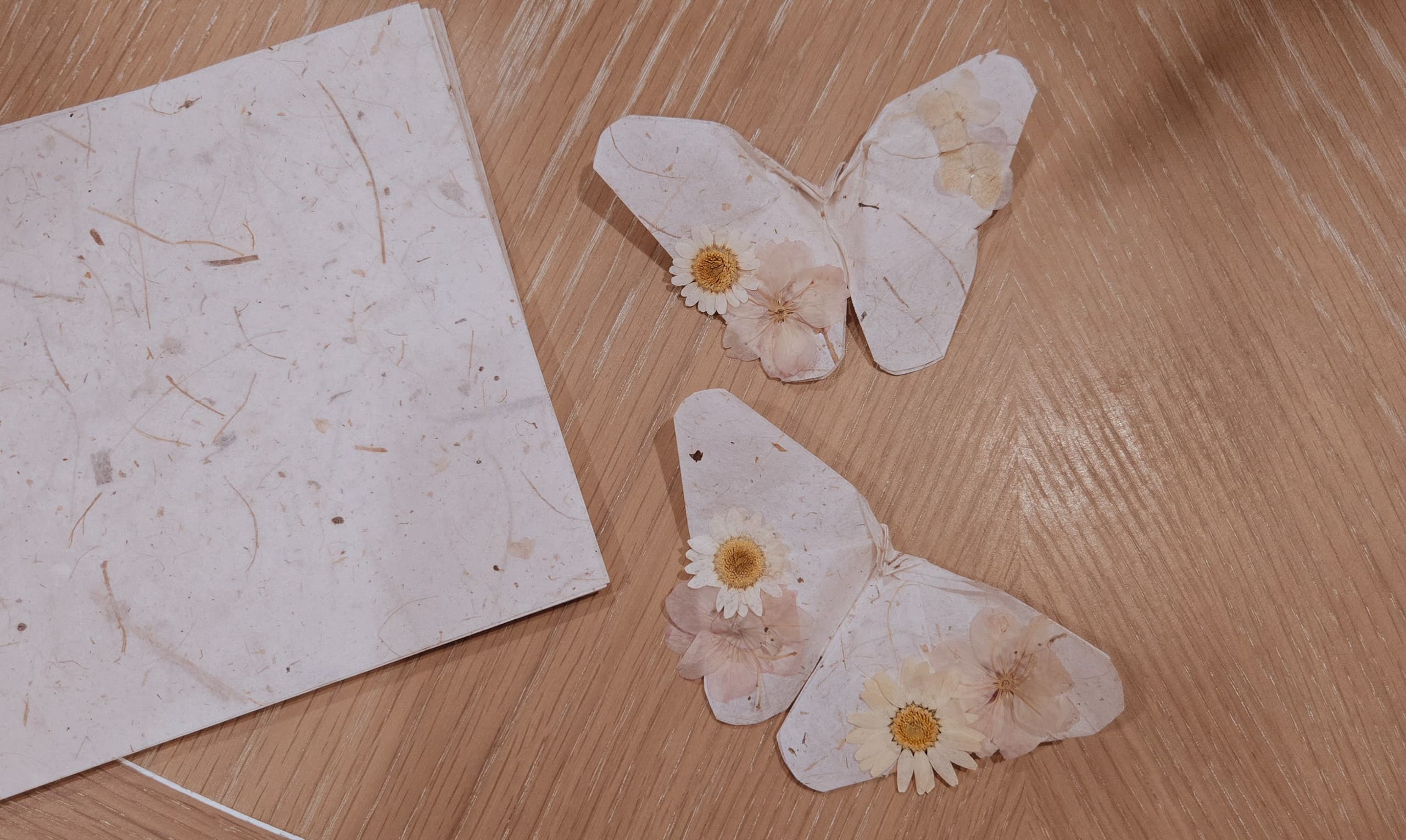 Art Class - Origami Butterfly Nature Art