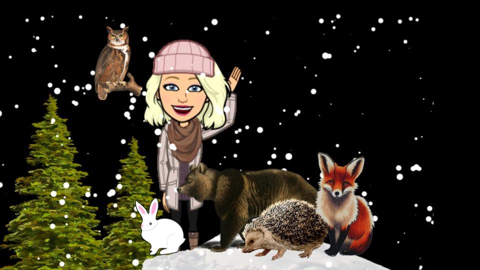 English Class - The Mitten: A Cozy Tale