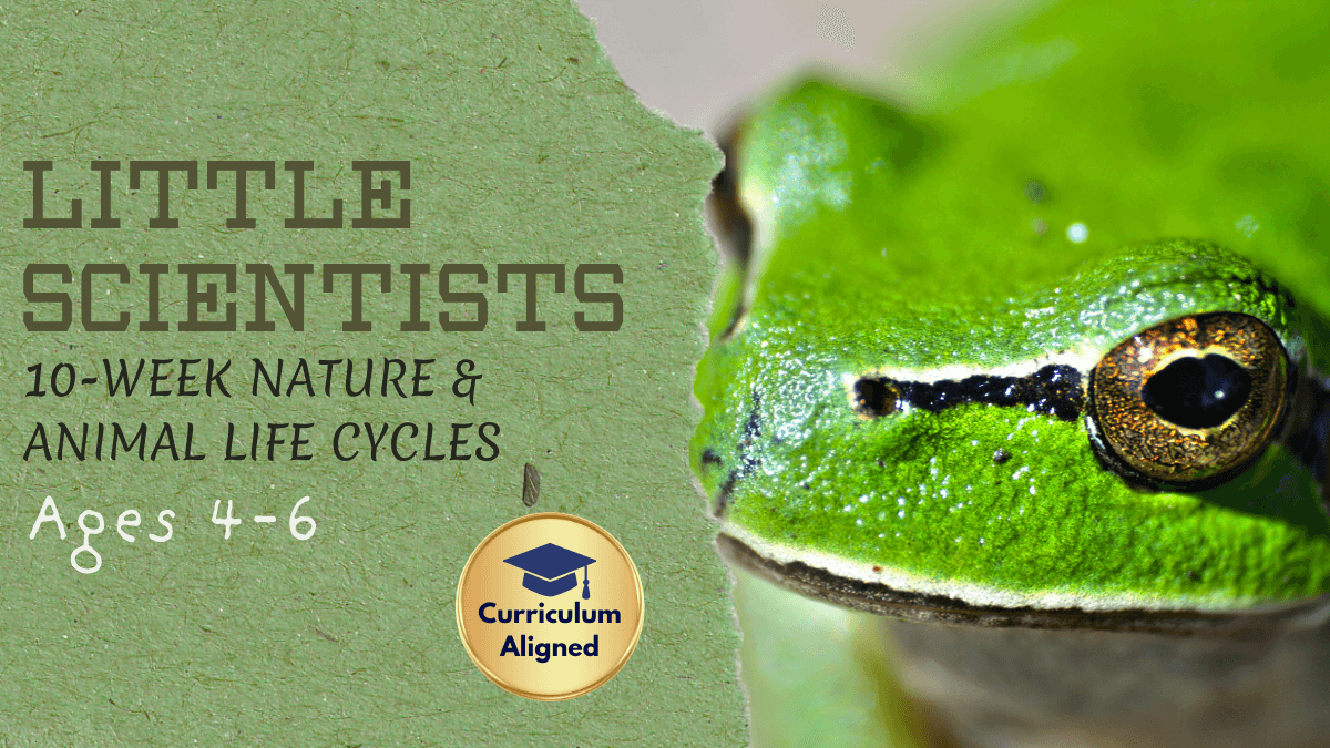 Science & Nature Class - Lil' Naturalist
