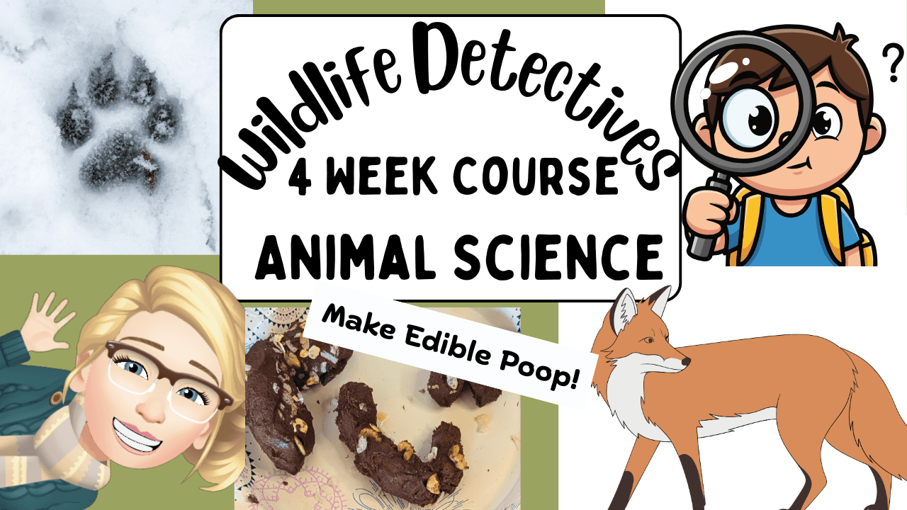 Science & Nature Class - Wildlife CSI