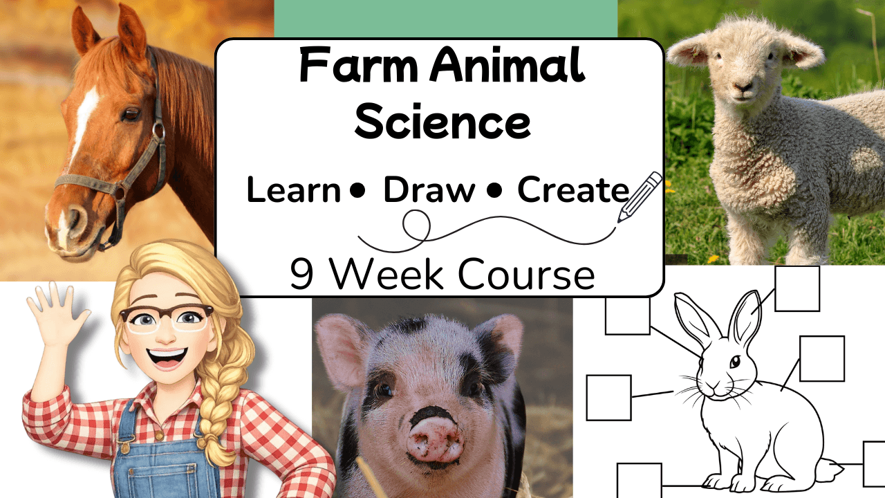 Science & Nature Class - Farm Animal Art