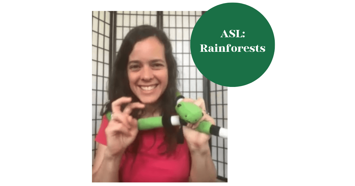 World Languages Class - ASL Rainforest