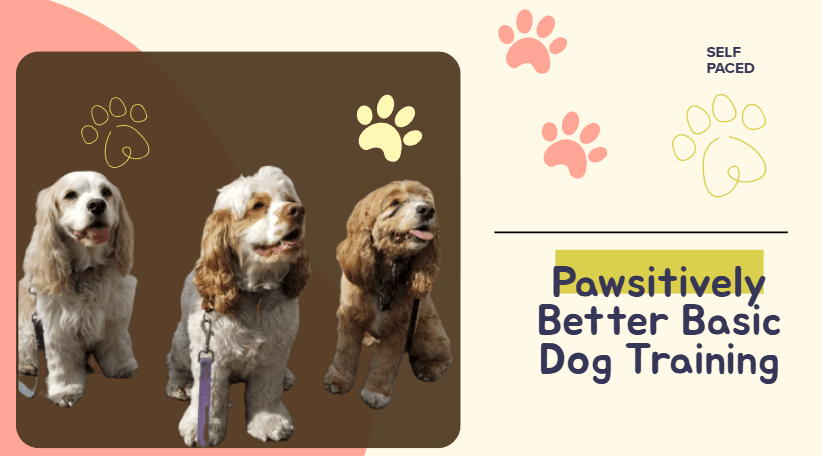 Life Skills Class - Paw-some Dog Skills