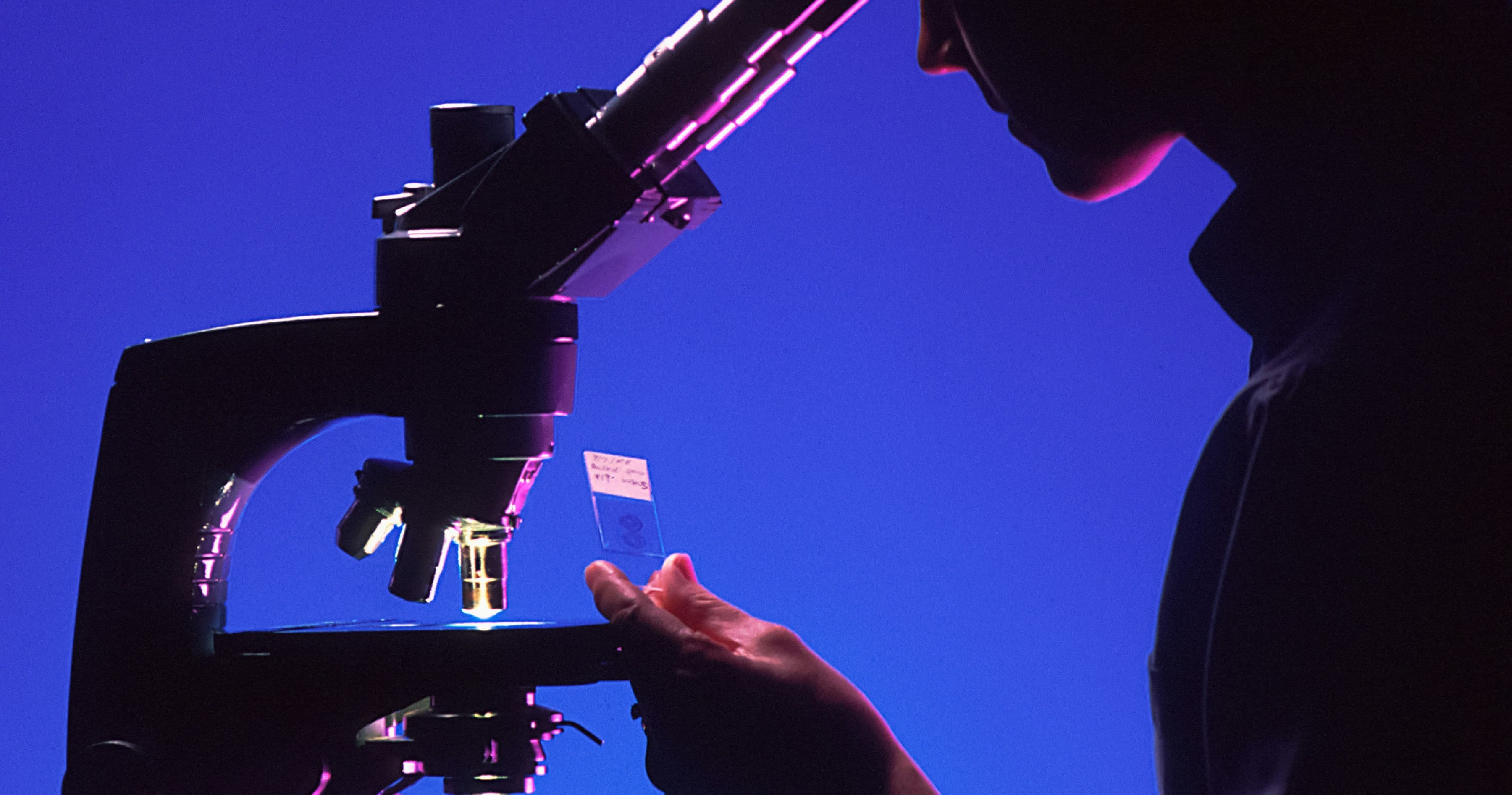 Science & Nature Class - Microscopic Bio