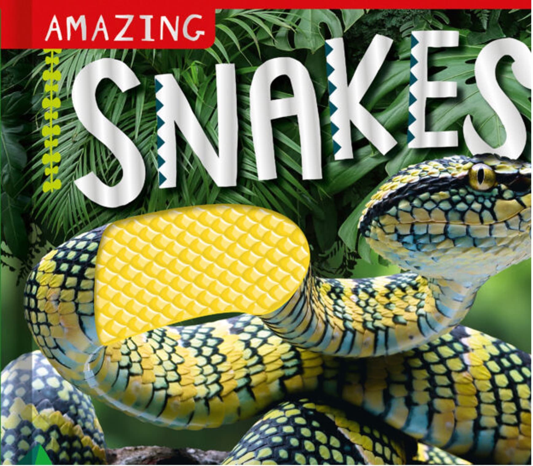English Class - Exciting Snakes Read