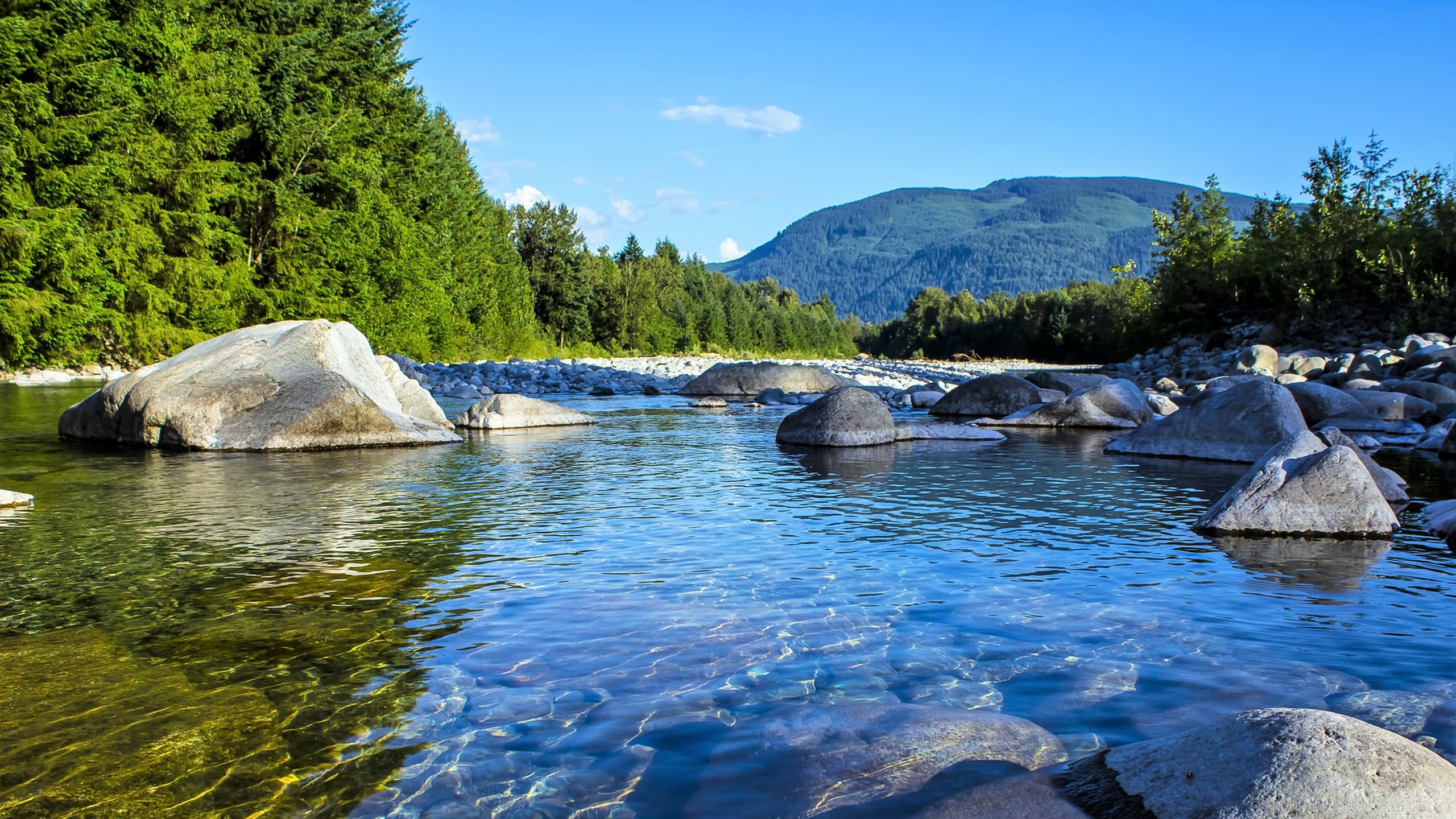 Science & Nature Class - Clean Water Act