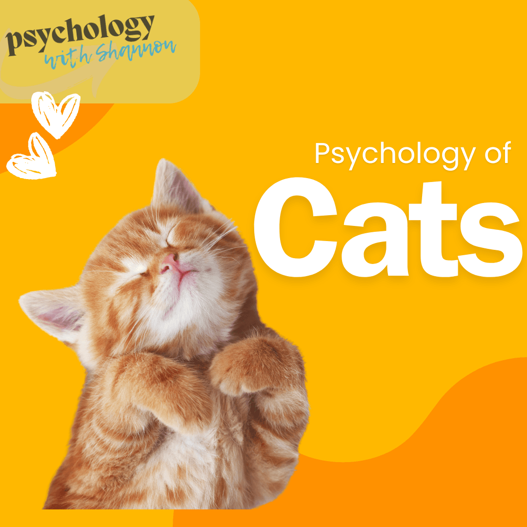 Science & Nature Class - Cat Behavior